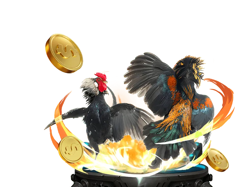 Hoàn trả hàng ngày/tuần tại TIN88 APP